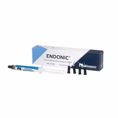 خمیر کلسیم هیدروکساید نیک درمان مدل Endonic وزن 3.7 گرم