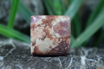 جاسپر گل افتابگردان(جاسپر چشم پرنده)