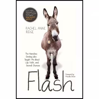 کتاب Flash اثر Rachel Anne Ridge and Priscilla Shirer انتشارات Tyndale Momentum