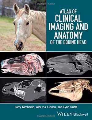 [PDF] دانلود کتاب Atlas Of Clinical Imaging And Anatomy Of The Equine Head, 2017