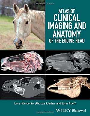 [PDF] دانلود کتاب Atlas Of Clinical Imaging And Anatomy Of The Equine Head, 2017