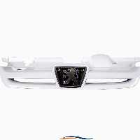 جلوپنجره پژو پارس پرشیا  خام بدون رنگ 