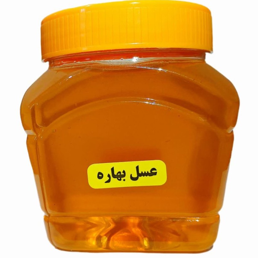 عسل بهاره ( یک کیلویی)