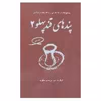 کتاب پندهای قند پهلو2 اثر حسین شکرریز نشر فکرآذین