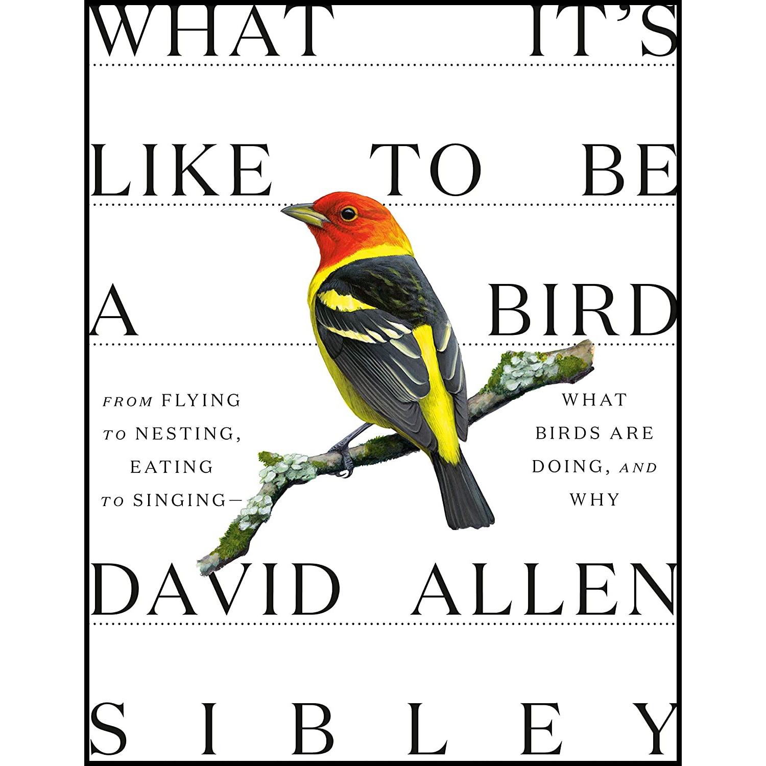 کتاب What It's Like to Be a Bird: From Flying to Nesting اثر David Allen Sibley انتشارات Knopf