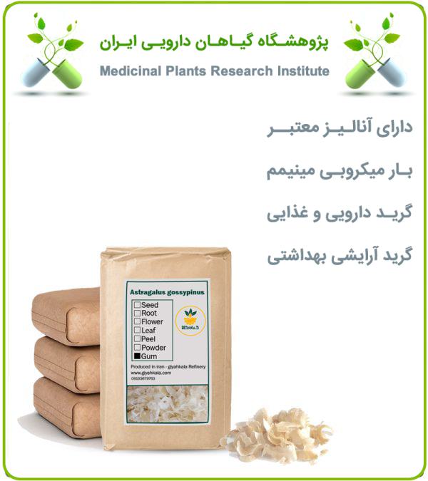 صمغ کتیرا خشک فله