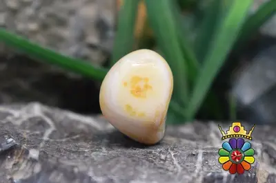 راف عقیق سلیمانی