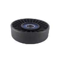 فولی هرزگرد 405 IPNC