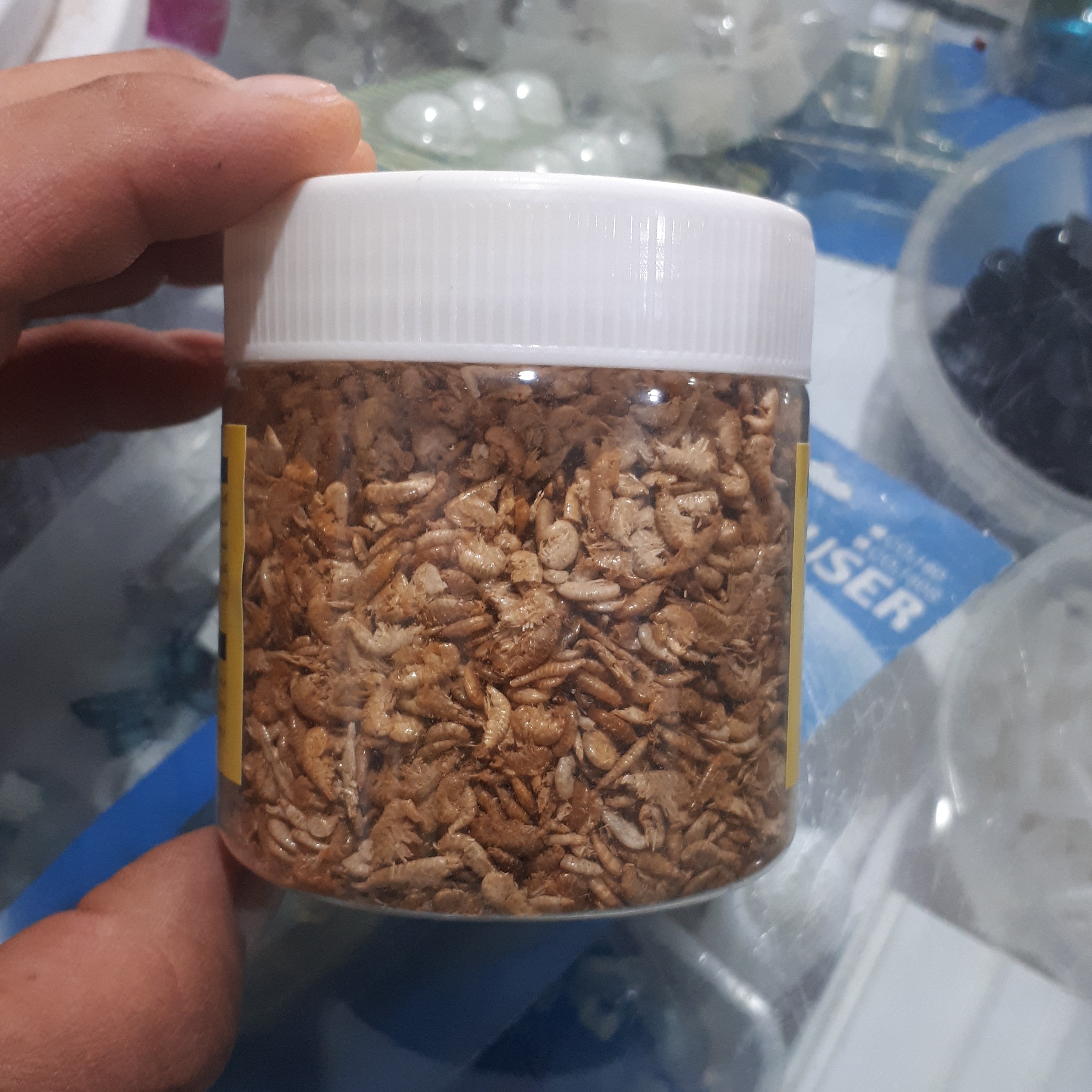 غذای ماهی (میگو گاماروس)