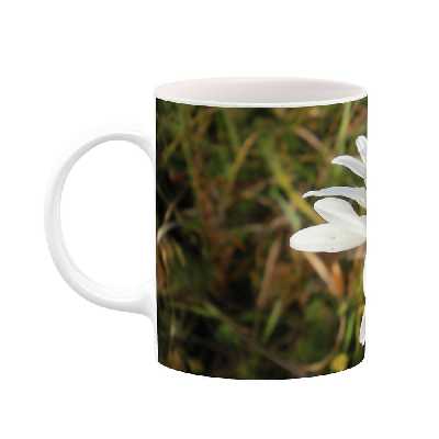 ماگ طرح گل مدل mgs07691