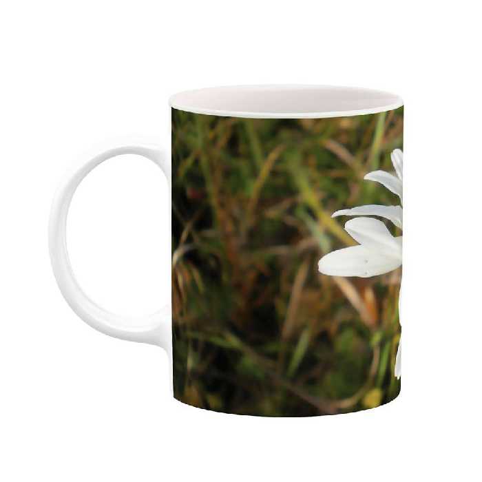 ماگ طرح گل مدل mgs07691