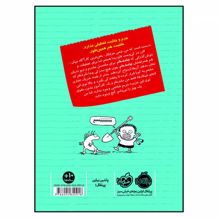 کتاب تیمی کارناگاه گنج دزدان دریایی اثر استفان پستیس انتشارات پرتقال جلد 6