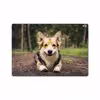 برچسب پوششی ماهوت مدل Dog-2 مناسب برای تبلت اپل iPad Pro 10.5 2017 A1709