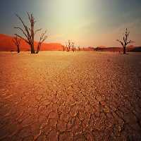 خرید و دانلود عکس Nature-Part-9 کد 37324 | پیک فاکس | Pic Fox