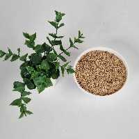 کنجد خام محلی دزفول  500گرم 