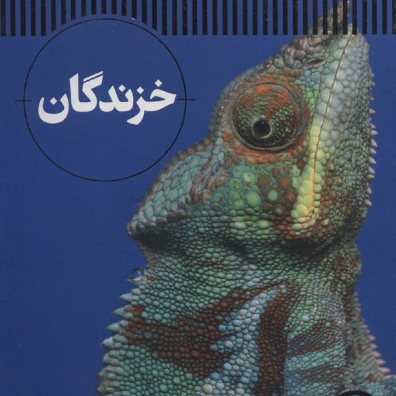 کتاب دیوان کامل جهان ملک خاتون