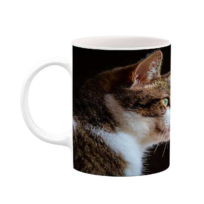 ماگ کاکتی طرح گربه مدل mgs14321