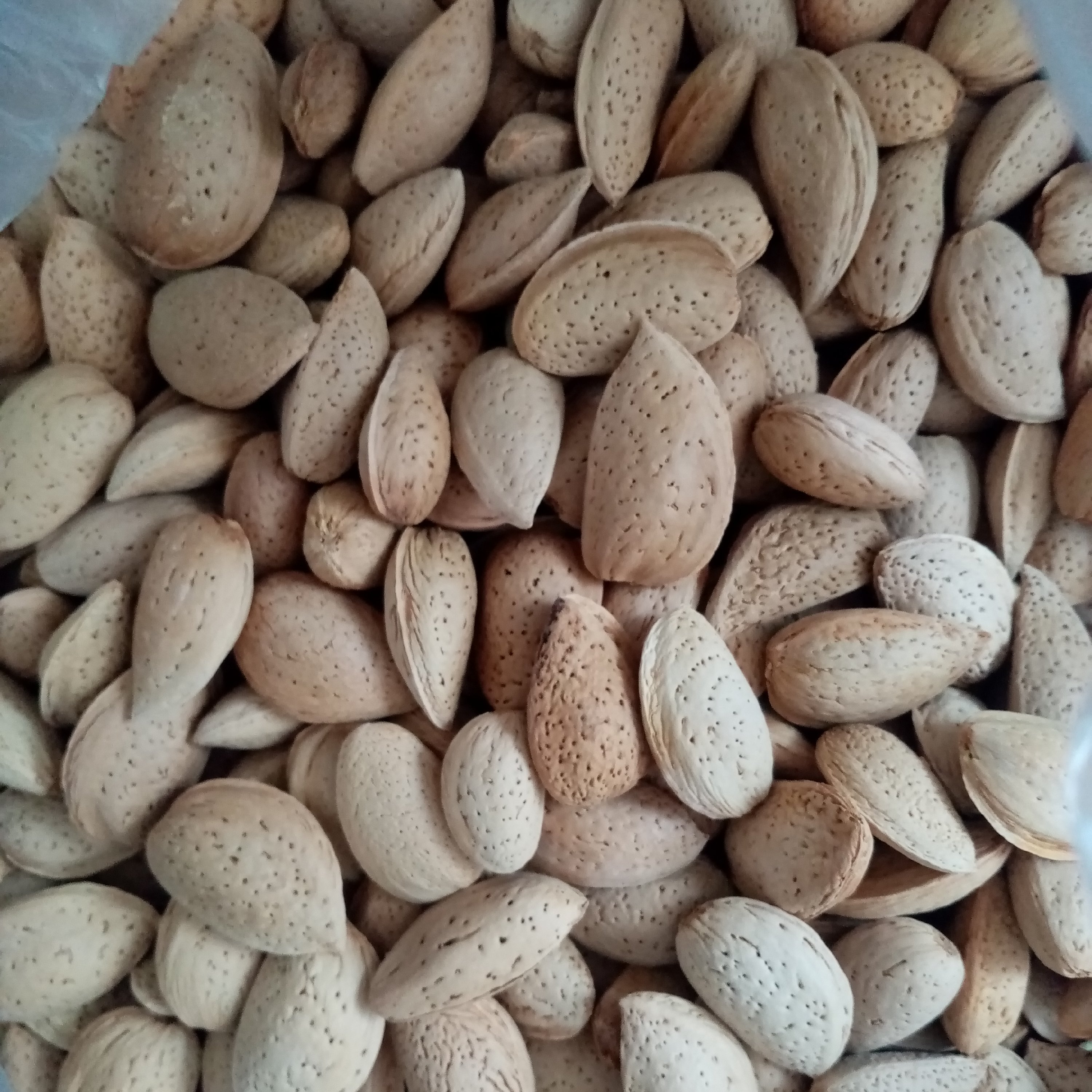 بادام سنگی شیرین 500 گرمی