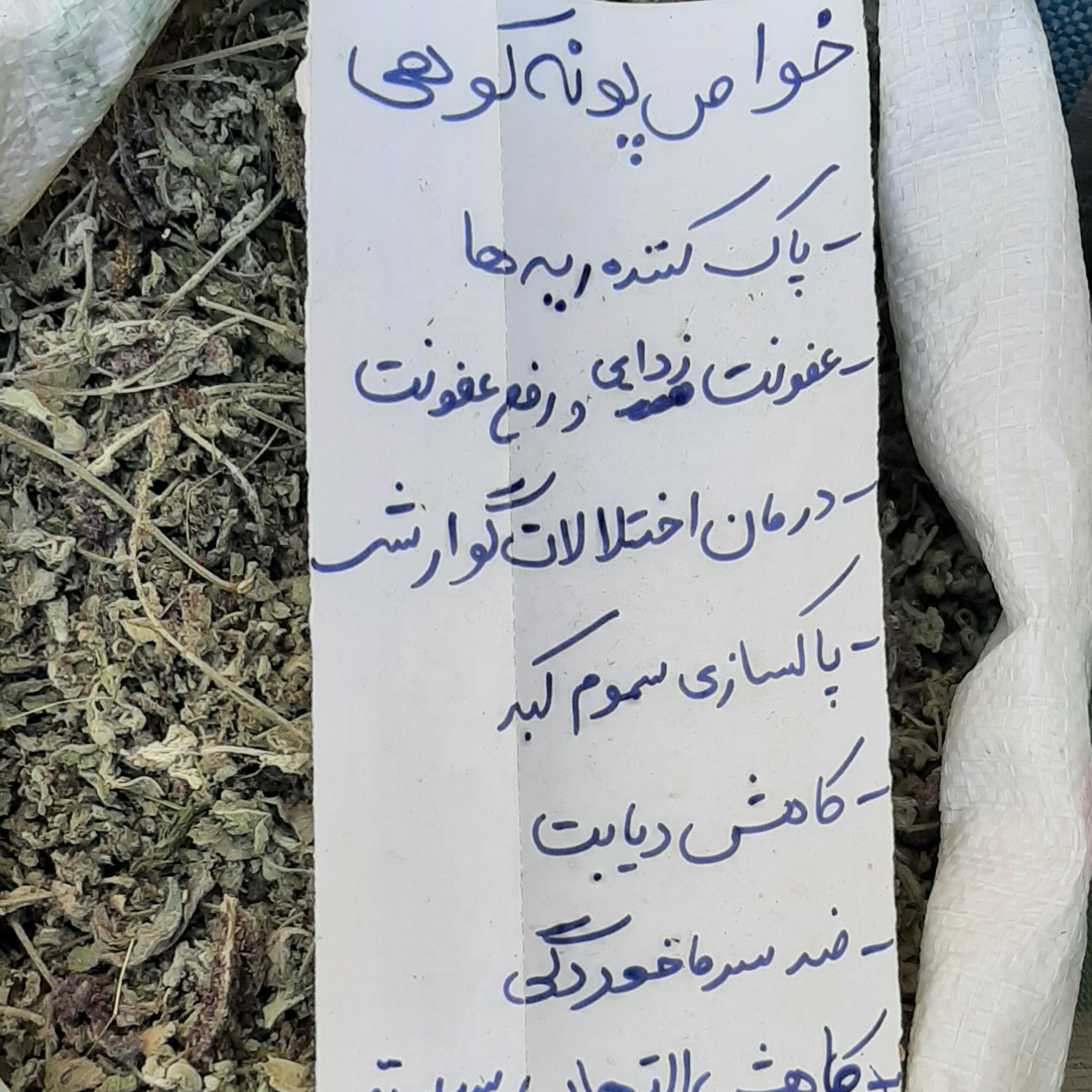 پونه کوهی