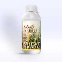 کود مخصوص گندوم و جو شوک آمریکایی نانو مایع 1 لیتری