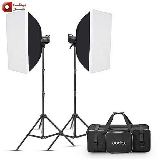 کیت فلاش گودکس Godox MS300-V Studio Flash Monolight