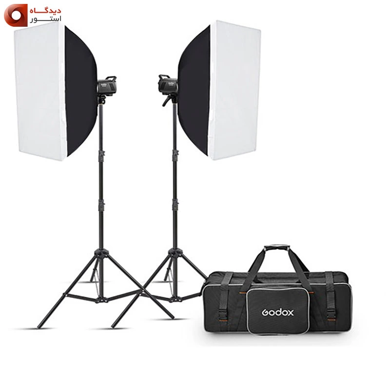 کیت فلاش گودکس Godox MS300-V Studio Flash Monolight
