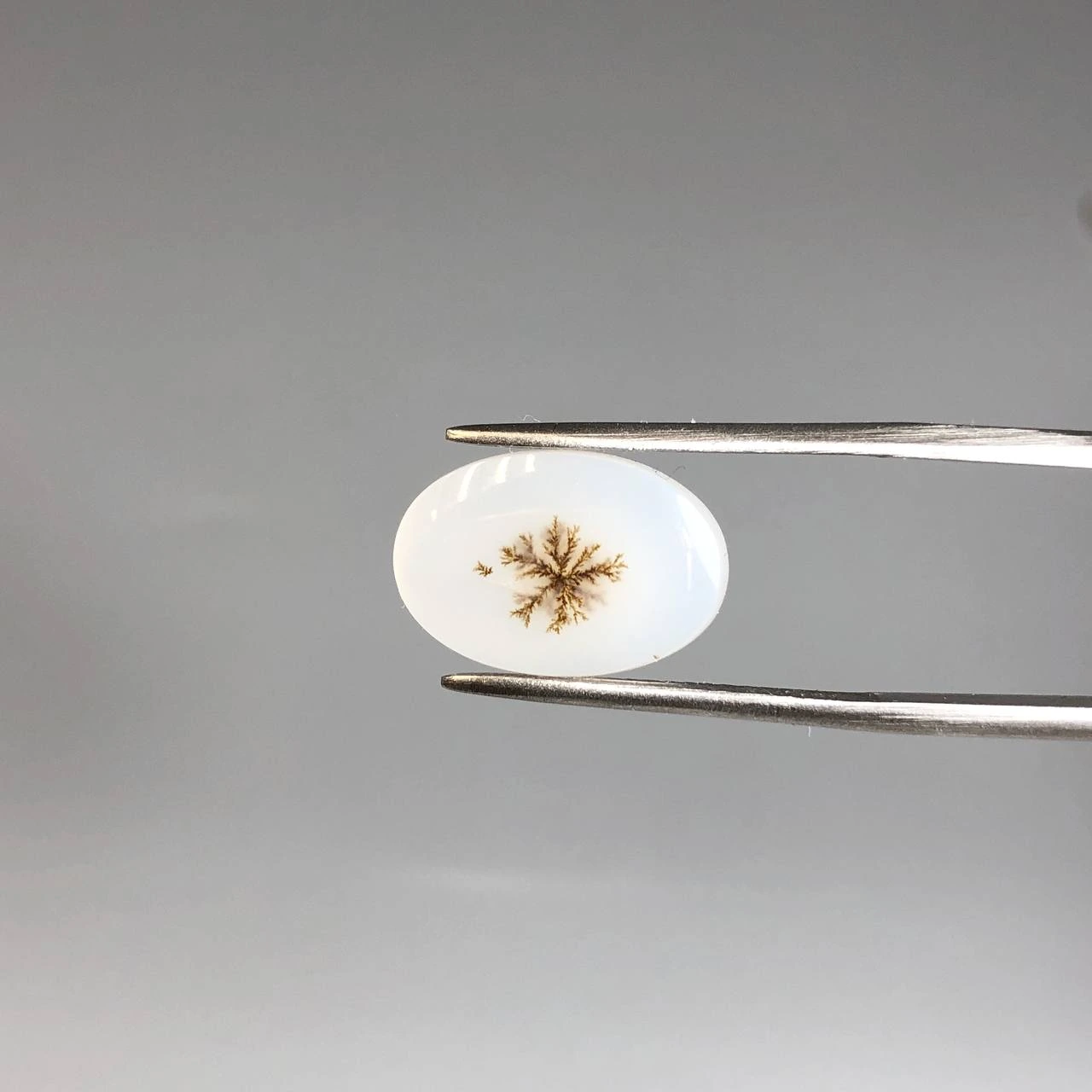 عقیق شجر اصلی قاصدکی 250450