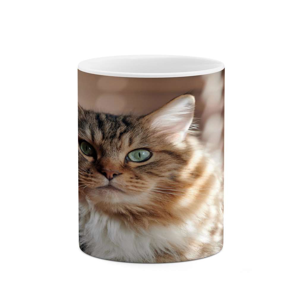 ماگ کاکتی طرح گربه مدل mgs15422