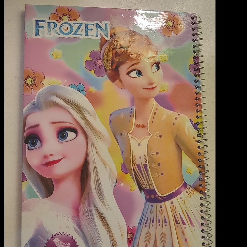 دفتر نقاشی فروزن