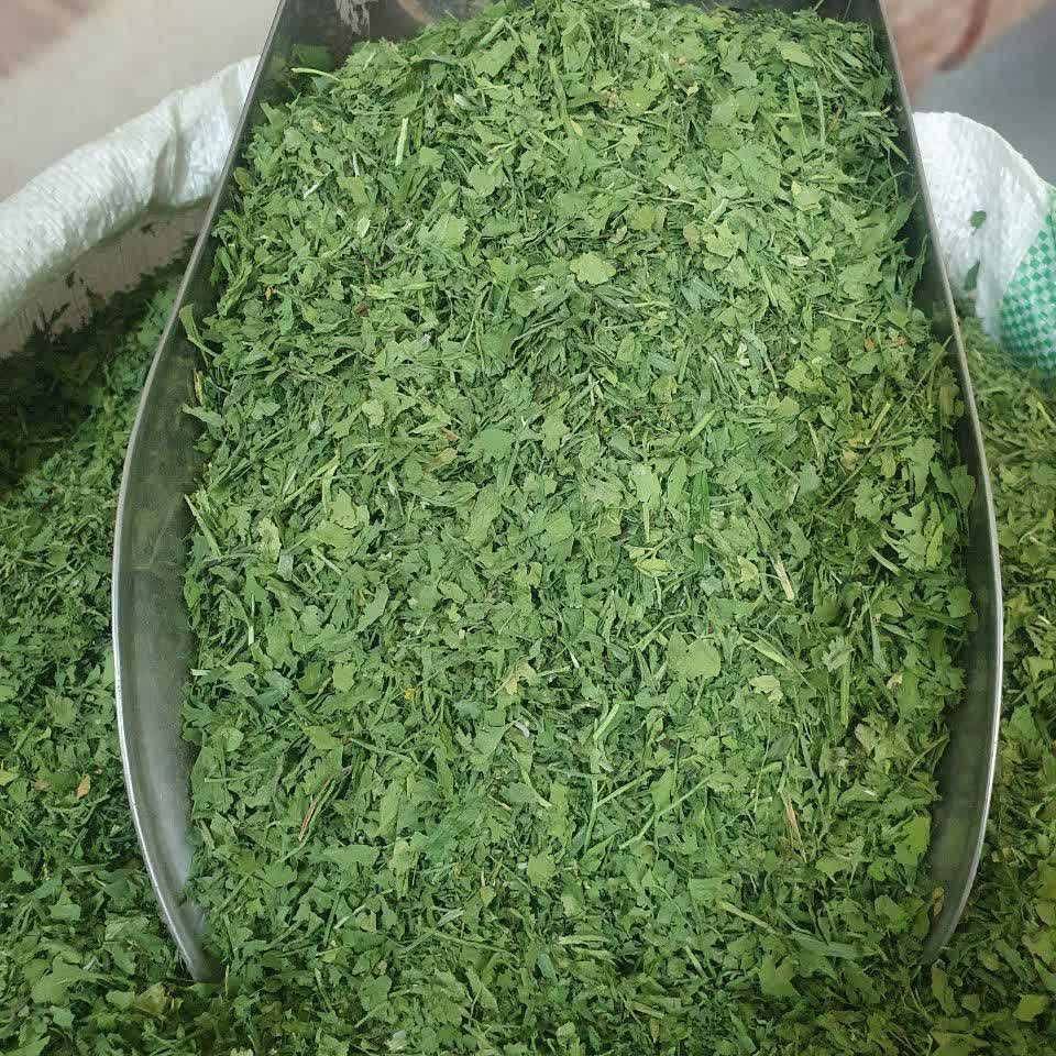 برگ جعفری خشک تمیز و اعلاء100 گرم 