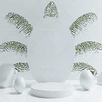 بک دراپ عکاسی محصولات با برگ سبز رنگ | گرافیک با طعم تربچه