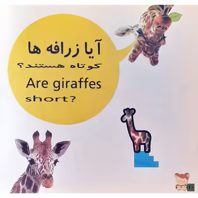 كتاب آشنايي با مفاهيم متضاد اثر باران گلستانه انتشارات ونديداد
