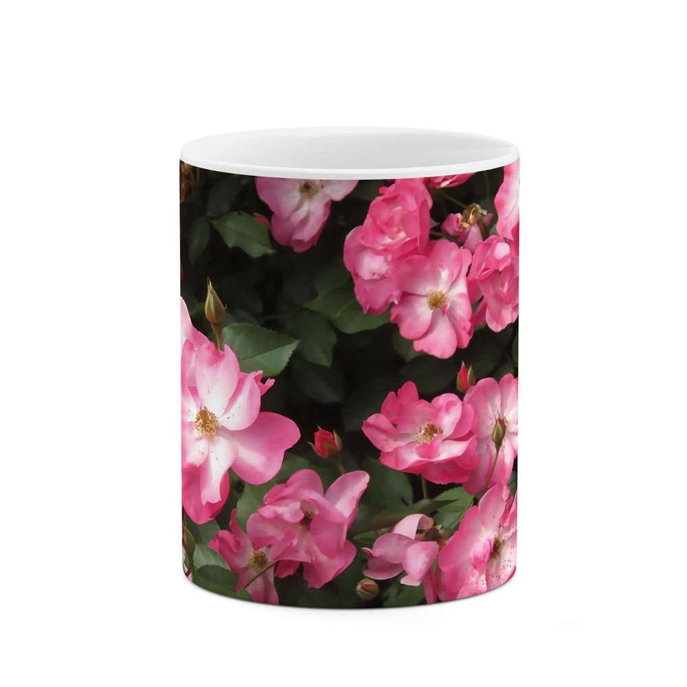 ماگ طرح گل رز مدل mgs05341