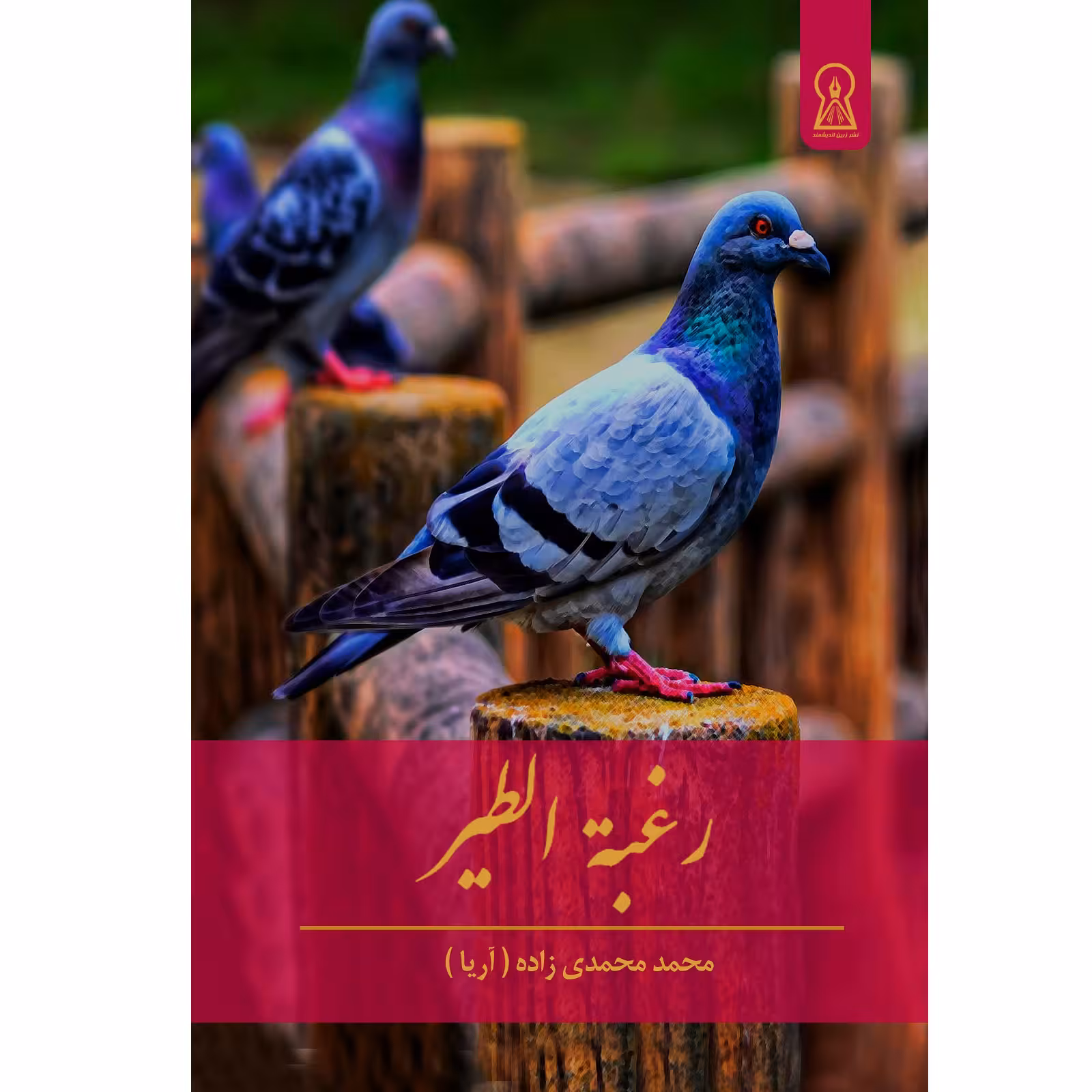 کتاب رغبته الطیر اثر محمد محمدی زاده نشر زرین اندیشمند