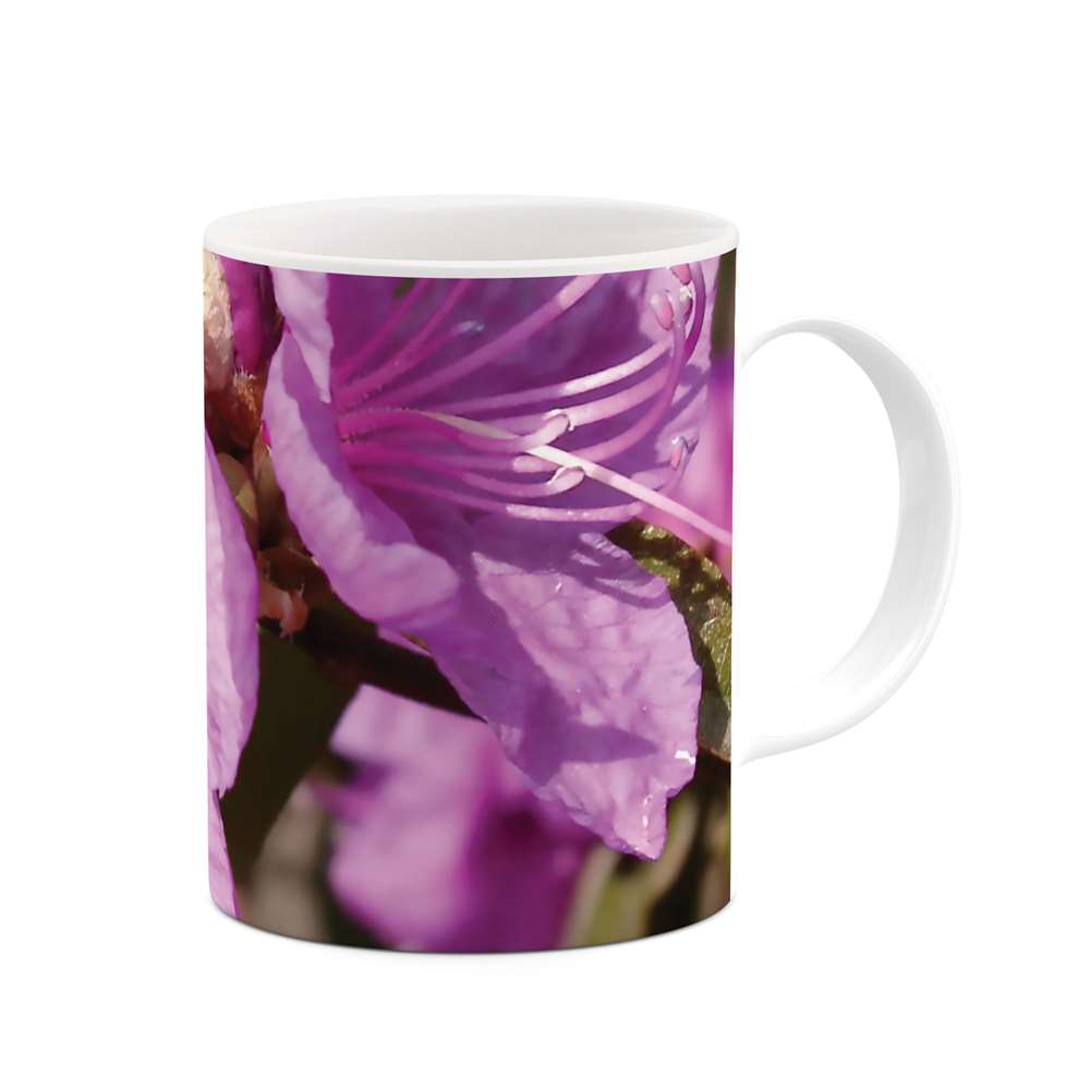 ماگ طرح گل مدل mgs06818