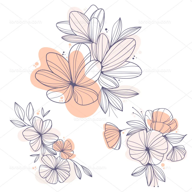 وکتور گلهای خطی مدرن مناسب برای طراحی جلد | گرافیک با طعم تربچه