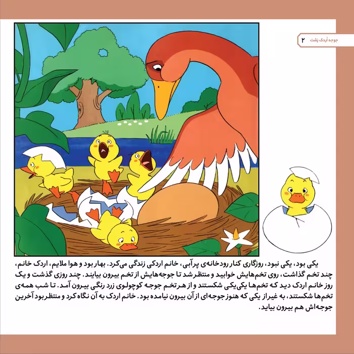 کتاب قصه های کلاسیک ۴۱ جوجه اردک زشت اثر شاگاهیراتا انتشارات برف