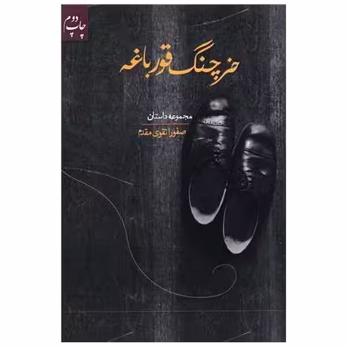 کتاب خرچنگ قورباغه اثر صفورا تقوی مقدم