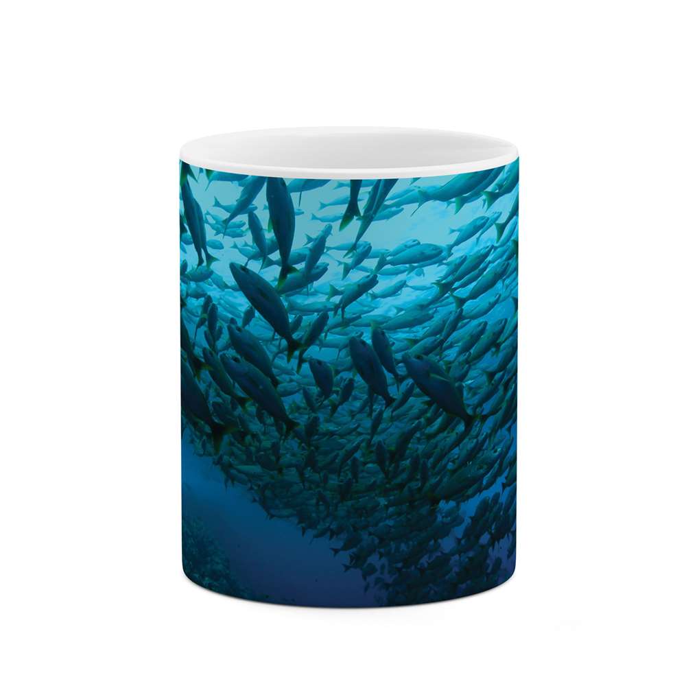 ماگ طرح ماهی مدل mgp10092