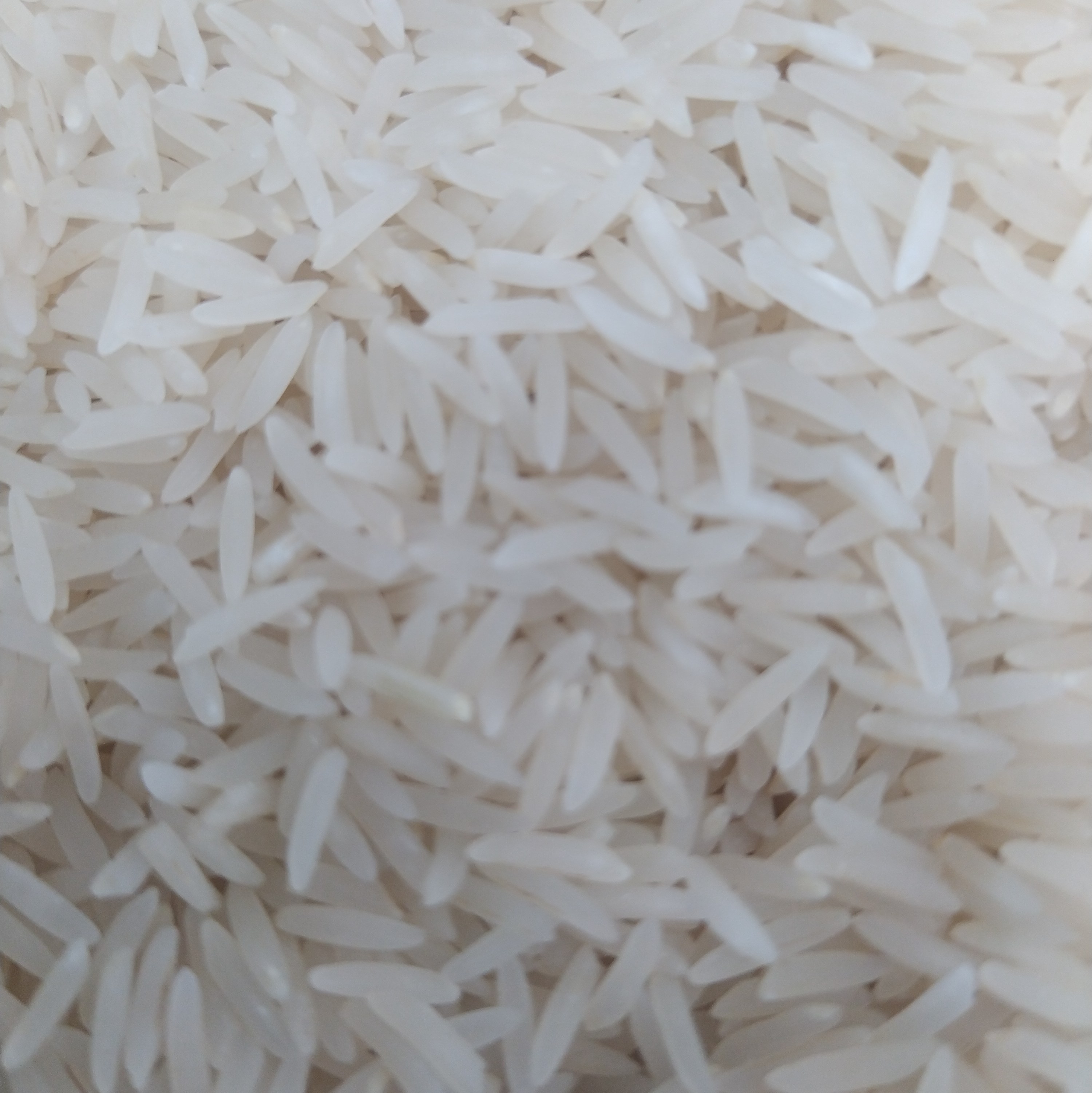برنج فجرگرگان درجه1باعطر وپخت عالی بسته های 10کیلویی