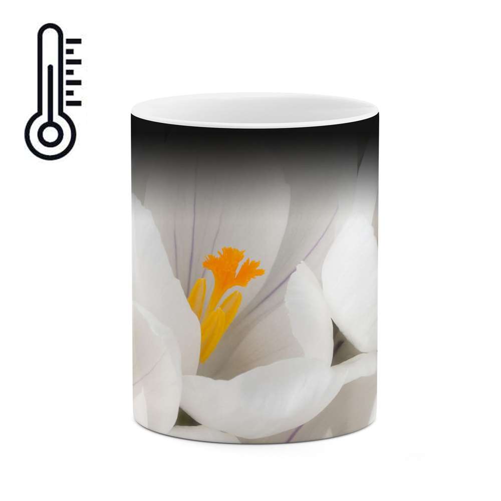 ماگ حرارتی طرح گل مدل mgh12031