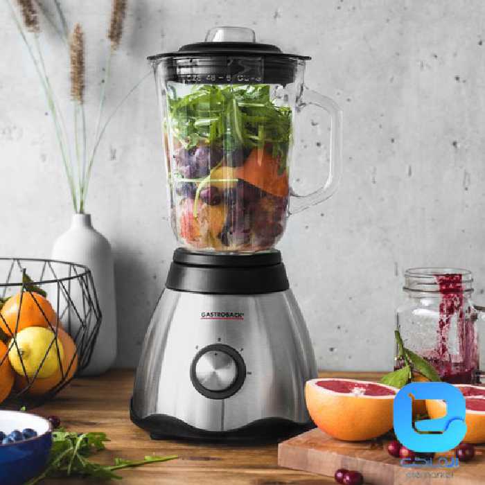 مخلوط کن ویتال گاستروبک 40999