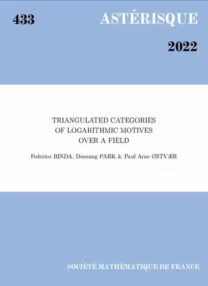 خرید و دانلود نسخه کامل کتاب Triangulated categories of logarithmic motives over a field
