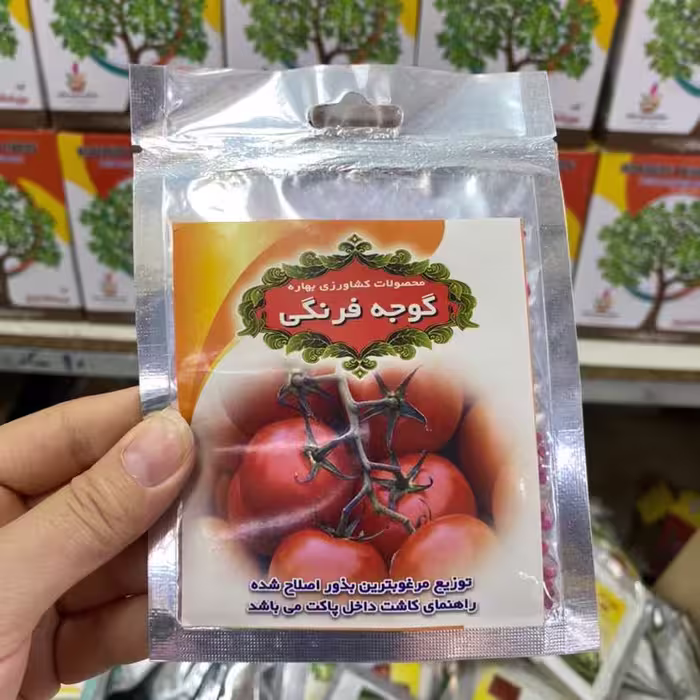 بذر گوجه فرنگی خوراکی .  کاشت در گلدان یا باغچه