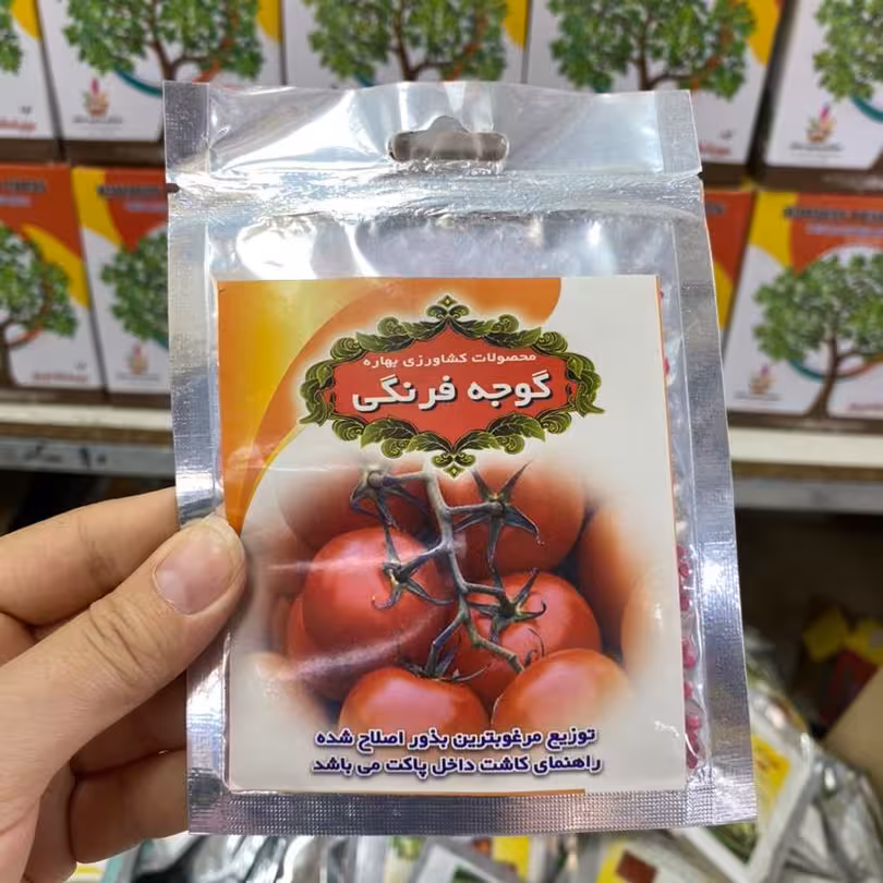 بذر گوجه فرنگی خوراکی .  کاشت در گلدان یا باغچه