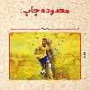 پازل 35 تکه مدل نیمار کد 96