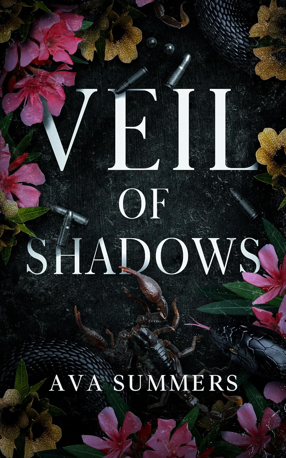 Veil of Shadows (Secrets & Lies Book 2)