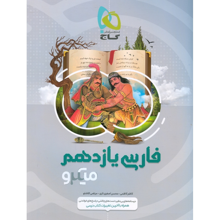 فارسی یازدهم میکرو گاج
