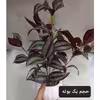 گل مصنوعی مدل برگ زرینا کد HF474 