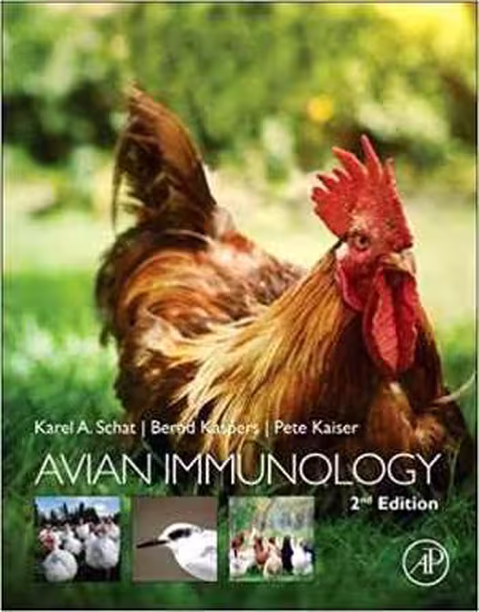 [PDF] دانلود کتاب Avian Immunology, 2nd ed, 2013